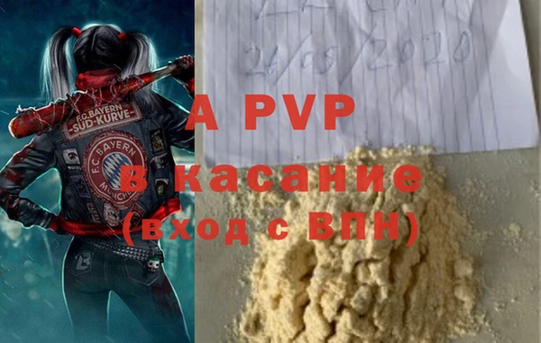 СК Кущёвская